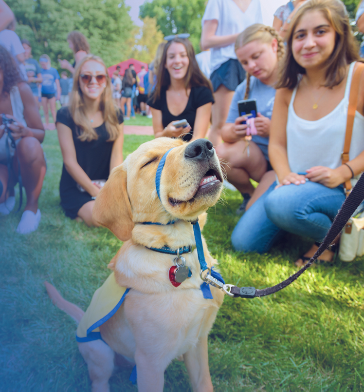 We sure love our #UDel pups! Happy #NationalDogDay 