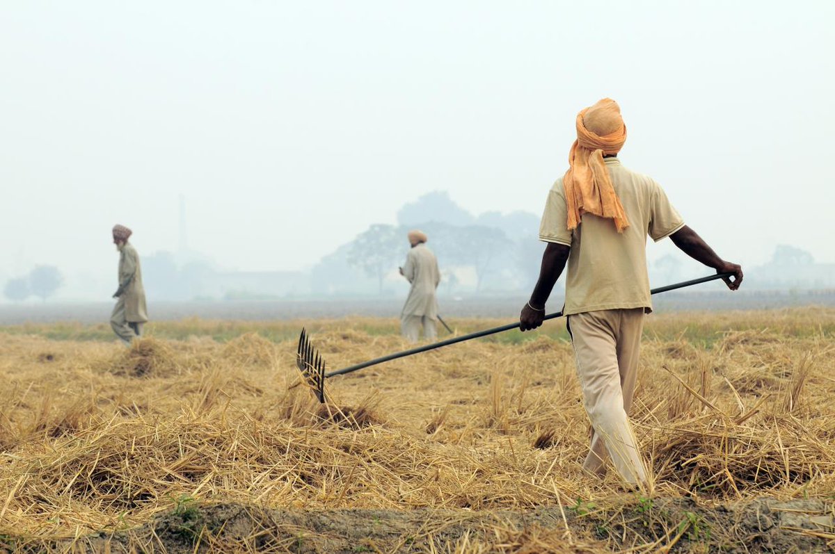 Technological innovation on its own won&#39;t guarantee smallholder farmer resilience to #climatechange. Research from @JPAL affiliates shows that strategies to help smallholders cope w/ income shocks are necessary for adaptation. Read more on the J-PAL blog: 